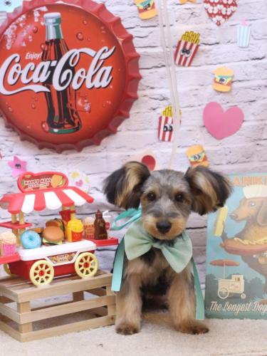 20230920大豆くん